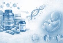 Antioxidants and Male Fertility: Effects on Sperm and Baby Development