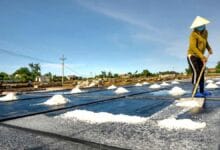 Ocean Losing Salt: How Climate Change Is Reshaping Ocean Salinity