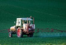 Pesticide Exposure Before Pregnancy and Newborn Health Risks
