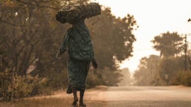 Higher Temperatures Raise Intimate Partner Violence Risk Among Women